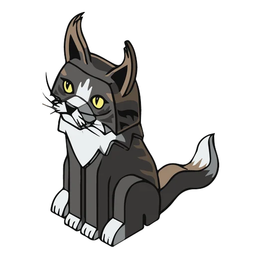 Maine Coon IsoPet
